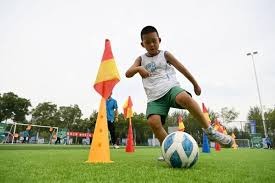 贝拉尔迪：我受伤前曾和球衣是间条衫的一家意甲豪门达成协议